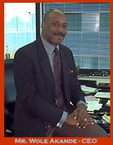 Image: Mr. Wole Akande - CEO