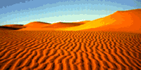 Rippled orange sand dunes under a clear blue sky